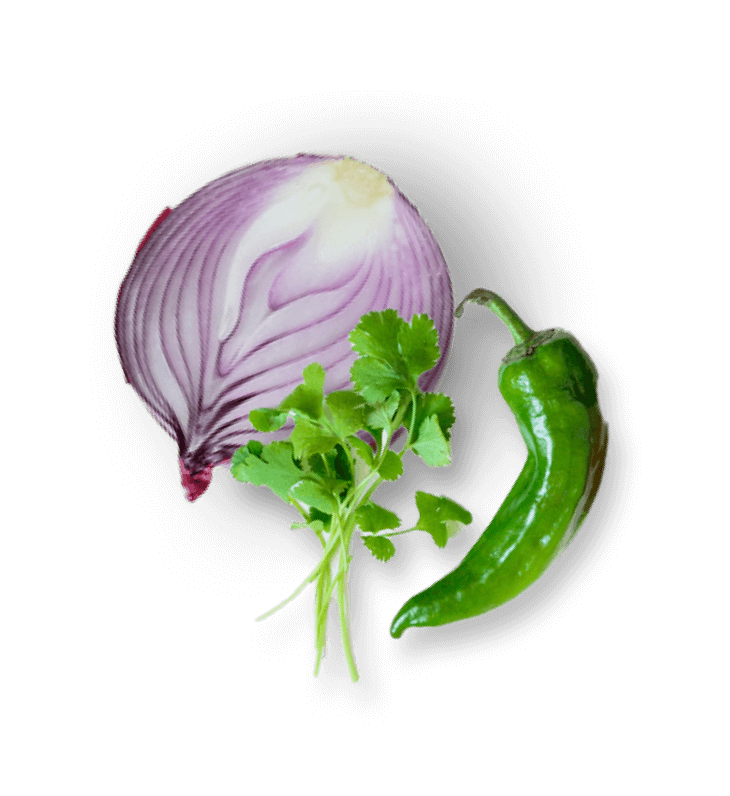 Onion, jalapeno and cilantro